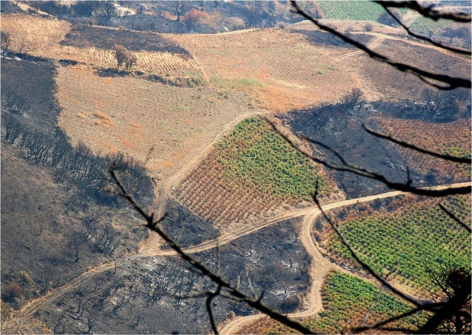 Γκάζι στο σχέδιο ανασυγκρότησης για το πυρόπληκτο Μάτι