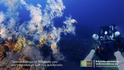 Δίχτυ προστασίας στους ωκεανούς μας…