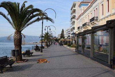 Στα… δίχτυα του λιμενικού 17χρονος για κλοπή από θαλαμηγό σκάφος στη Χαλκίδα